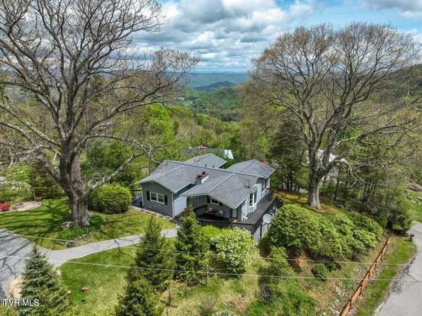 190 Roanwood Rd, Roan Mountain, TN 37687