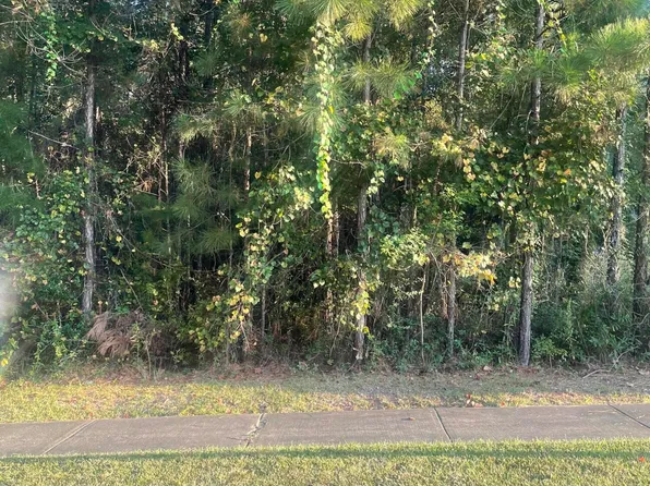 44 Baneberry Trce, Hattiesburg, MS 39402