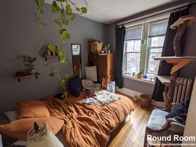 158 Kelton St APT 5, Allston, MA, 02134