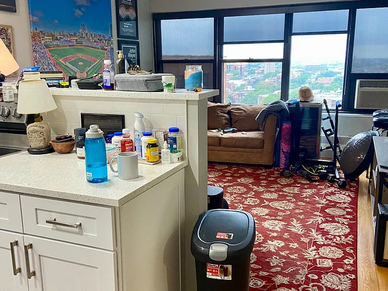 3420 N Lake Shore Dr #18M — Photo 3