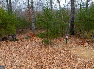 161 Headwaters Ct #161, Cleveland, GA 30528