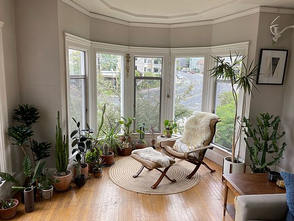 Lovely, sunny bay window overlooking front garden