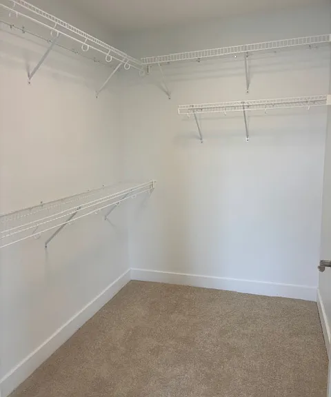 2985 Greystoke Dr #2985 — Photo 10