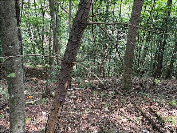 3rd image of 16 Tbd Old Nc Hwy