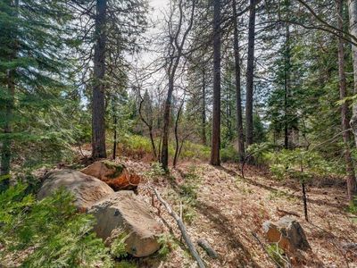 LOT 1 Cold Creek Cir, Mount Shasta, CA, 96067