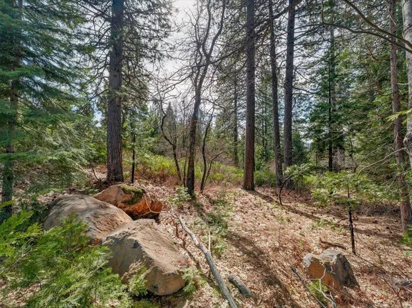 LOT 1 Cold Creek Cir, Mount Shasta, CA 96067
