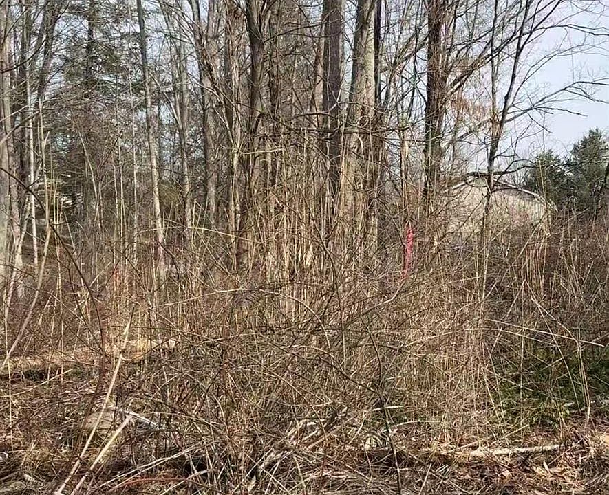 1st image of 19 & 25 Clearbrook Drive
