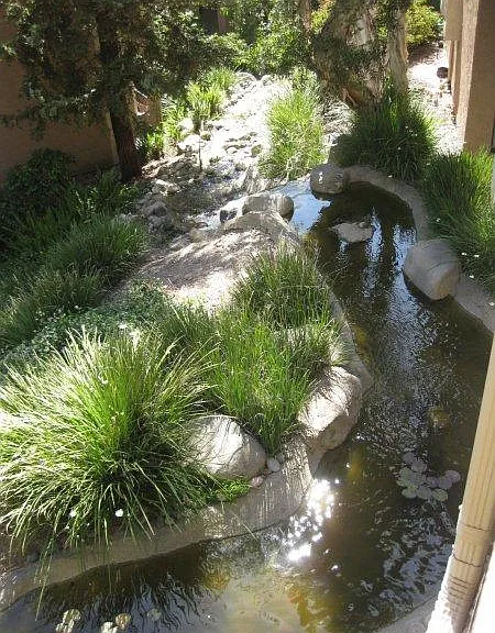 Creek