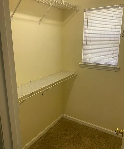 3512 Sassafrass Trl — Photo 13