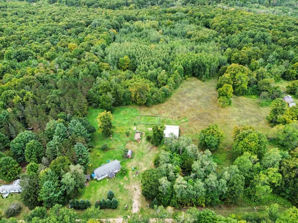 9843 Buck Ln, Mancelona, MI 49659