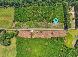 LOT 2 Black Creek Rd, Nichols, SC 29581