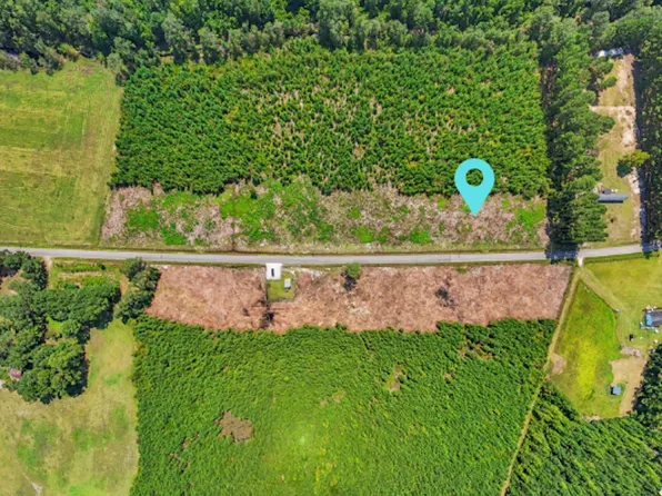 LOT 2 Black Creek Rd., Nichols, SC 29581