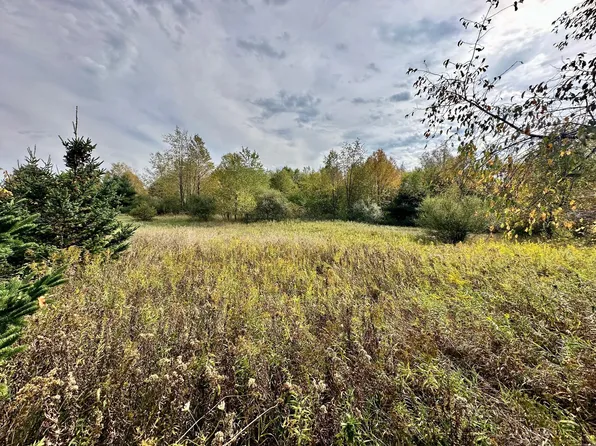 Par B Belding Rd, Belding, MI 48809