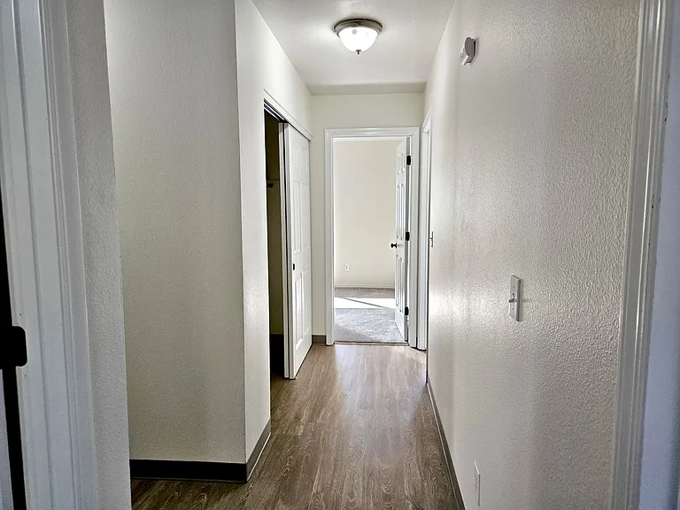 337fi — Photo 11