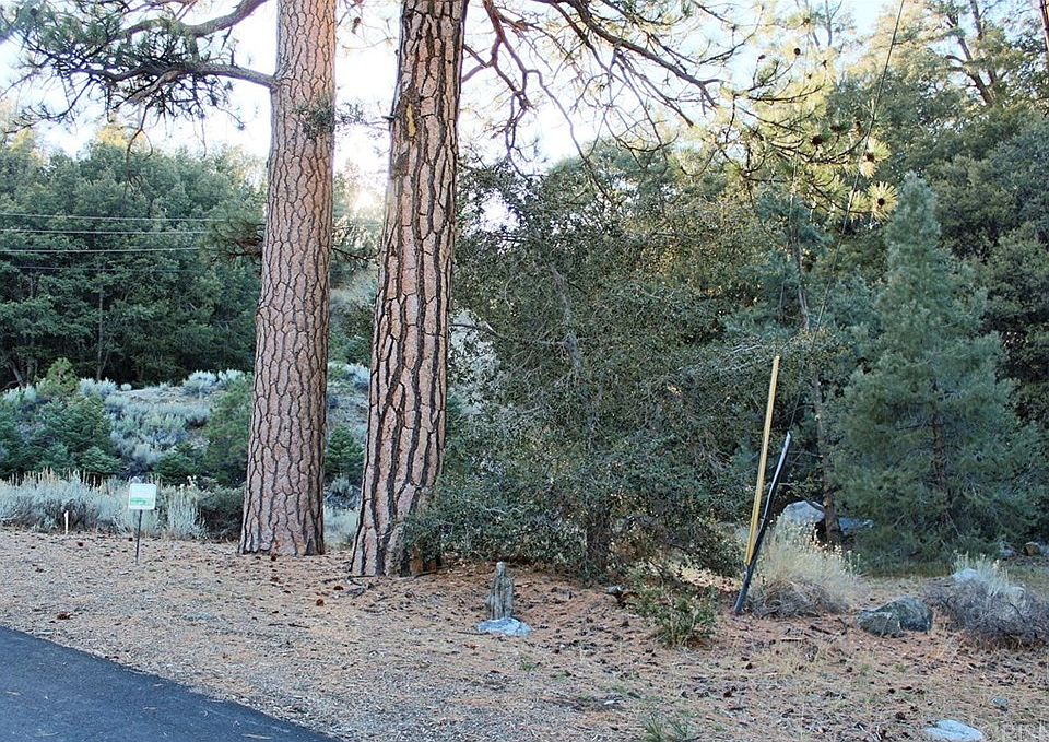 2nd image of 1217 Bernina Dr