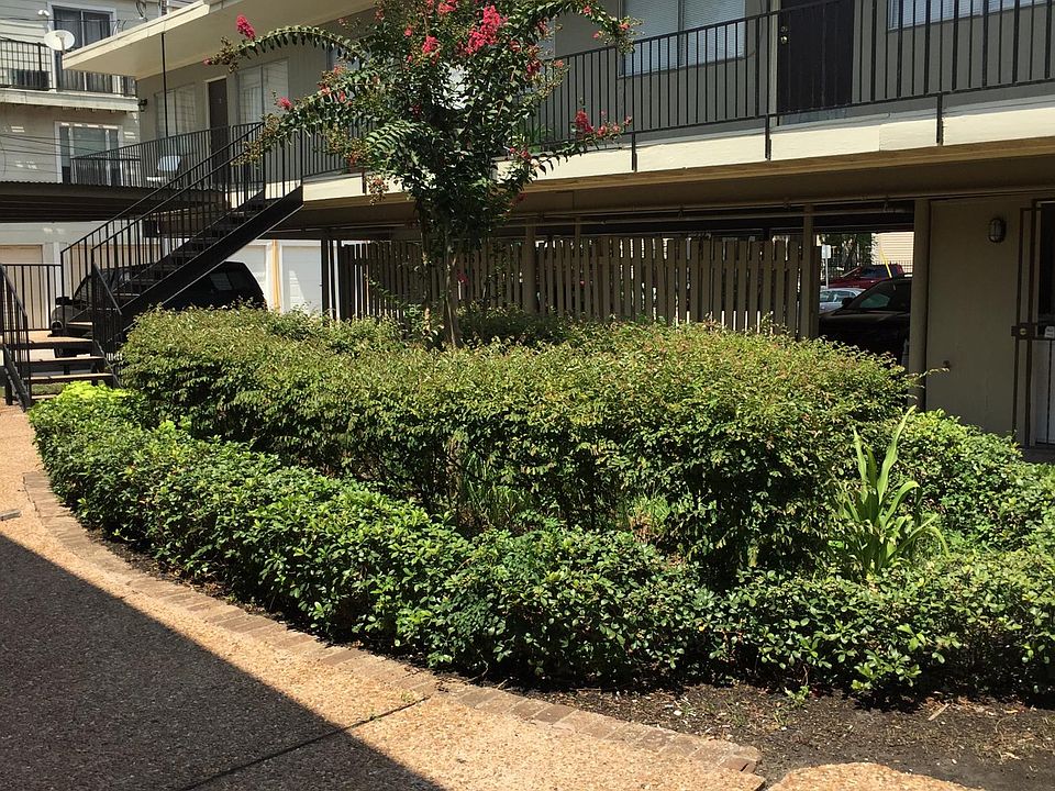 Court yard