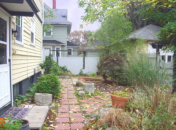 Back Yard and Patio