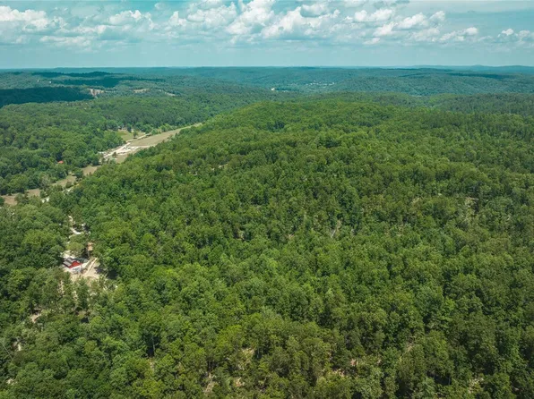 0 Highway 21, Centerville, MO 63633