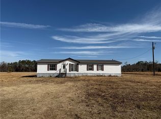 3750 Little Hurricane Creek Rd, Blackshear, GA 31516