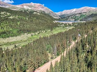 553 Nuthatch Drive, Alma, CO 80440