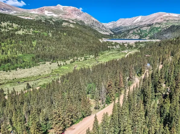 553 Nuthatch Drive, Alma, CO 80440