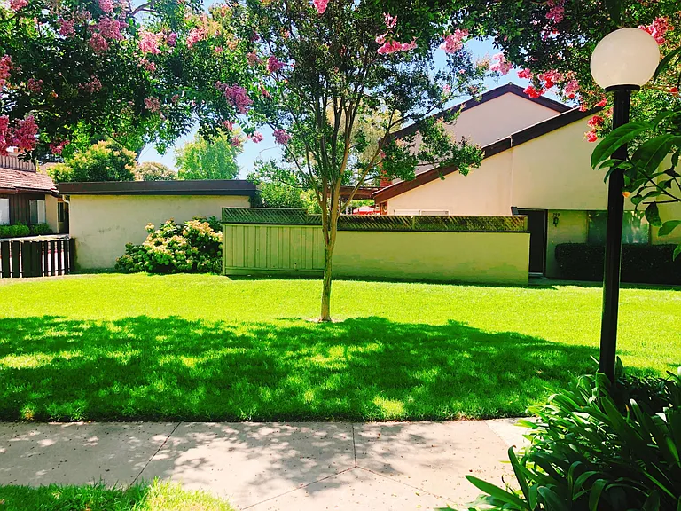 2352 Bear Valley Ln — Photo 3
