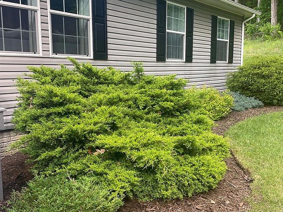 4th image of 10908 Parkersburg Rd NW