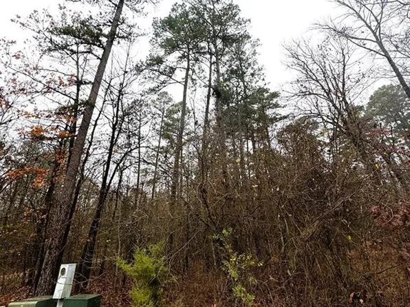 209 Timber Creek Trl, Broken Bow, OK 74728