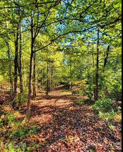 62 Bramblewood Dr, Rutherfordton, NC, 28139