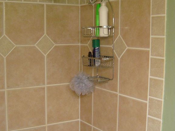 rainshower head and tile