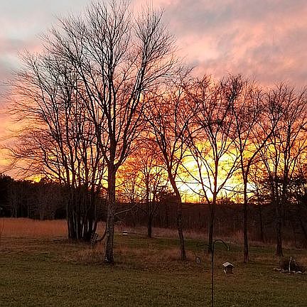 Beautiful sunset in the back