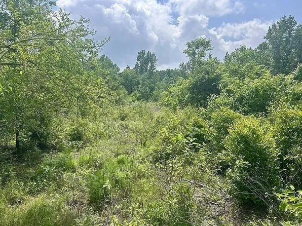 LOT 13 County Road 175 Lot 13, Garrison, TX 75946