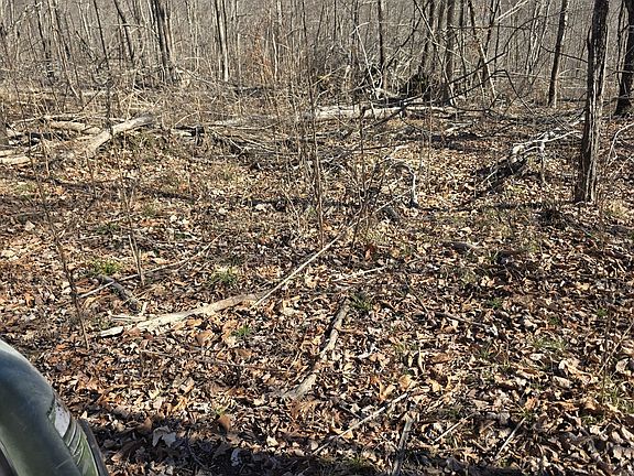 5th image of 0 Honey Fork Rd Lot 2