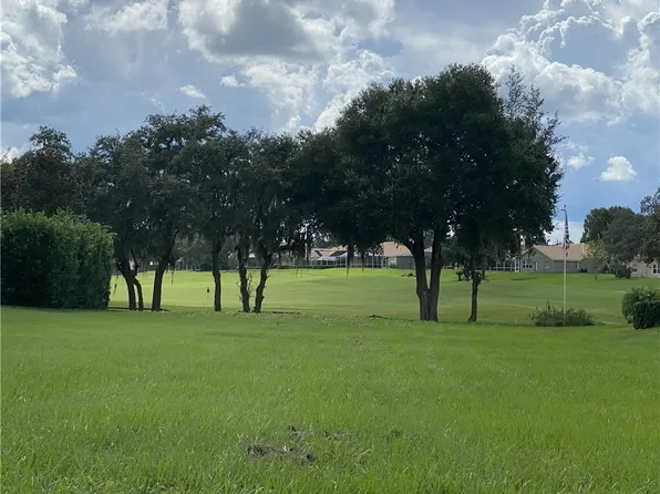 13423 Trailing Moss Dr, Dade City, FL 33525