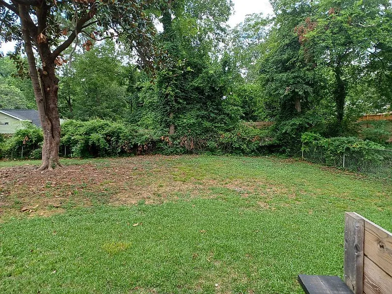Back yard