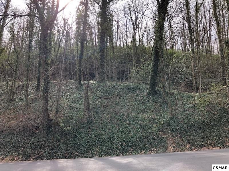 2nd image of 96 Johns Branch Rd Lot 0