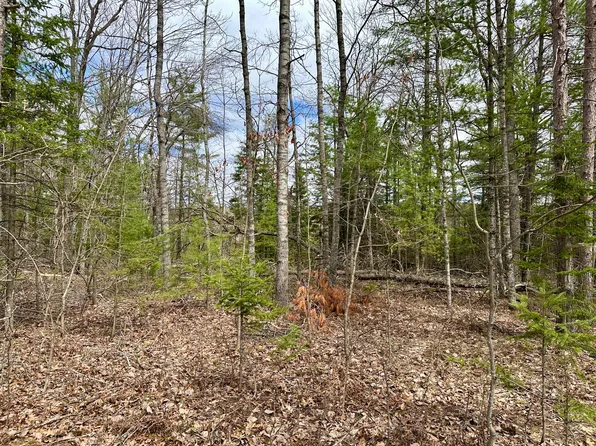 4409 Big Sky Trl, Indian River, MI 49749