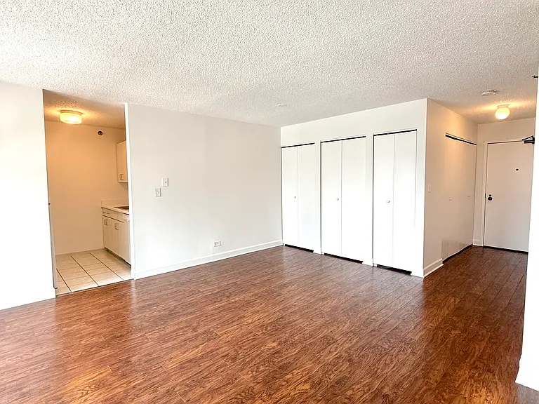 33 W Delaware Pl #14C — Photo 9