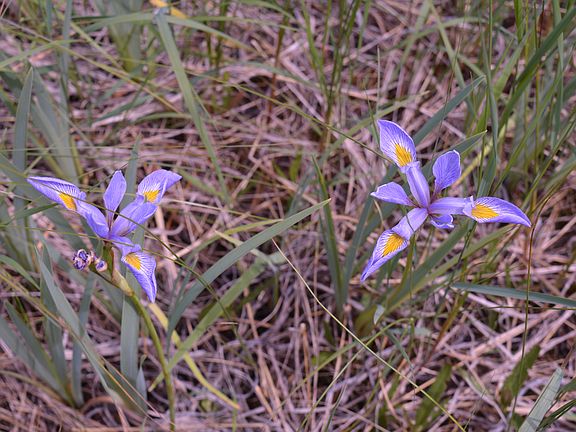 5th image of 20548-20998 E South Caribou Lake Rd De Tour