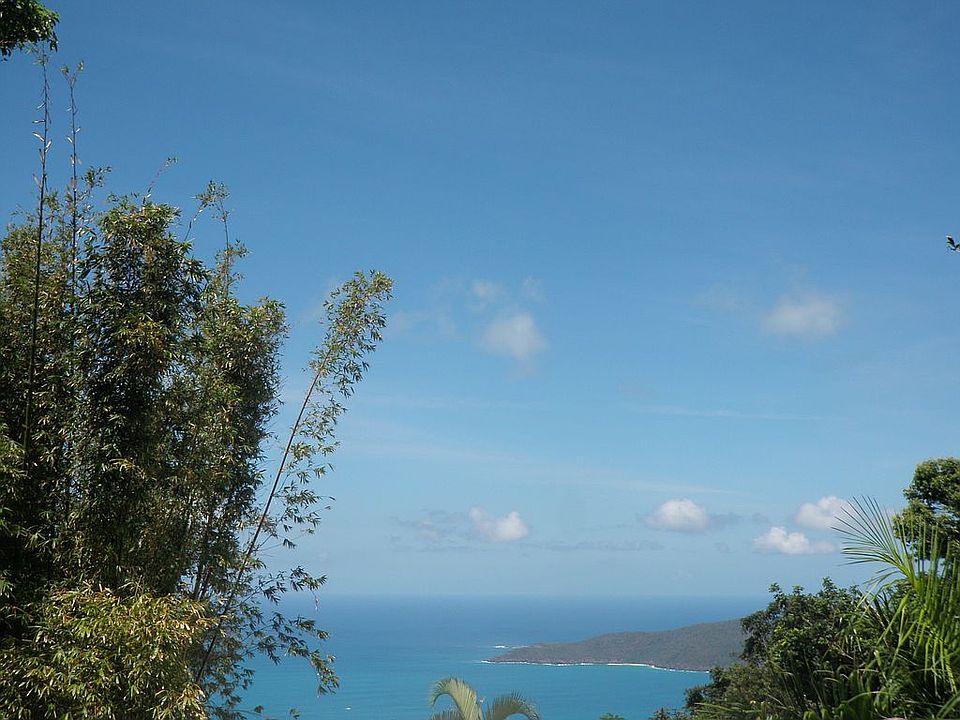 View looking NE 