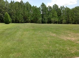 32101 Summerglade Dr, Wesley Chapel, FL 33545