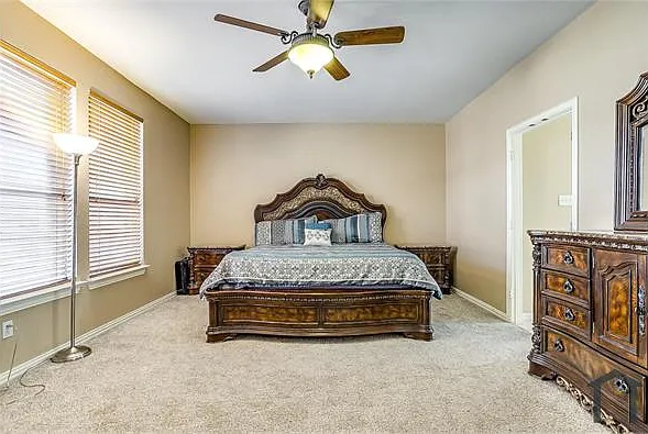 2809 Snowy Owl Dr — Photo 33