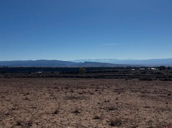 Lot 10 Stardust Lane, Cedaredge, CO 81413