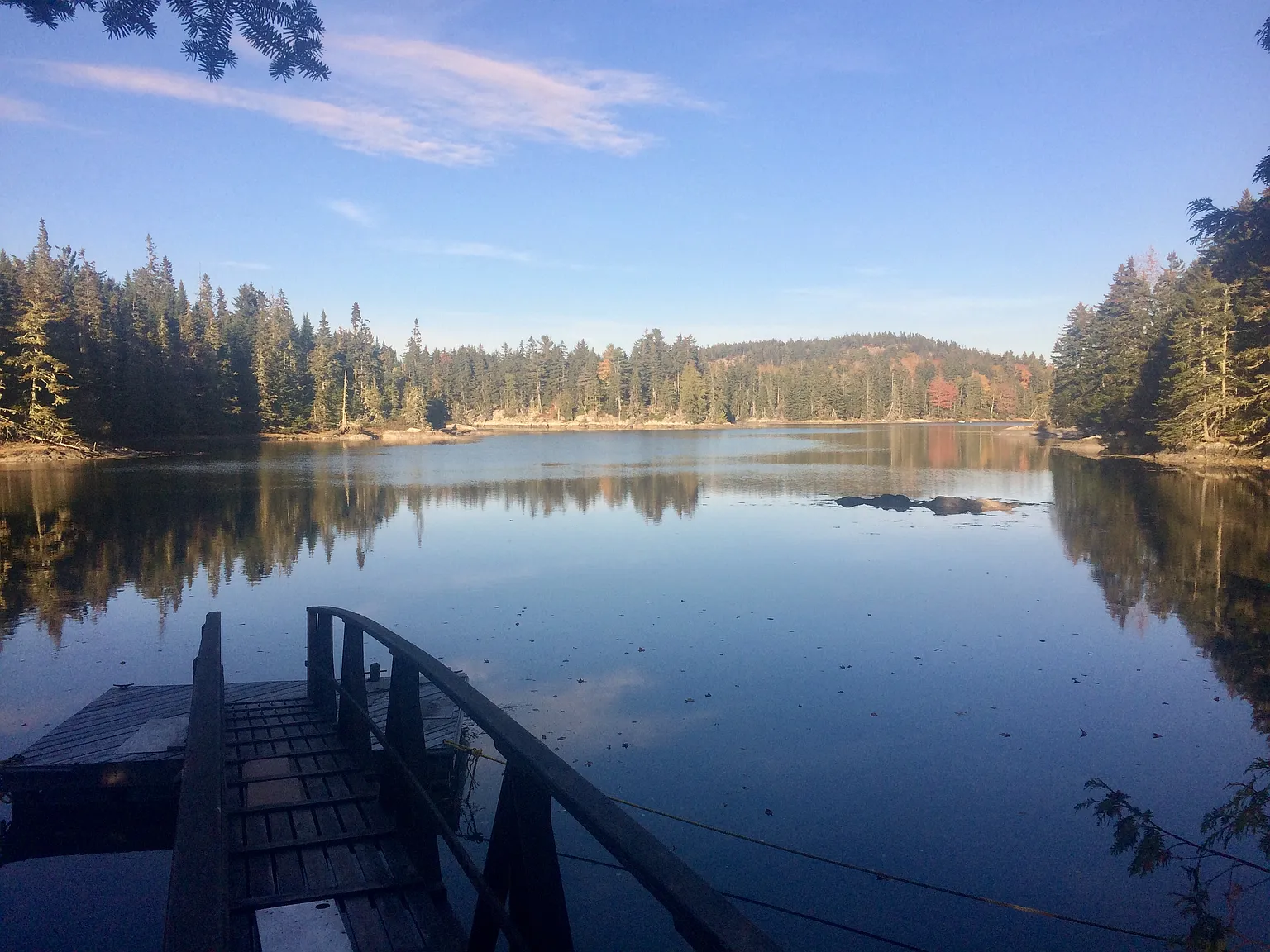 4 bed, 1600 sqft, $1,600 — Photo 4