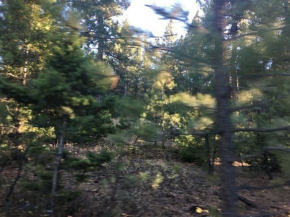 5th image of Nhn Woods Creek Rd