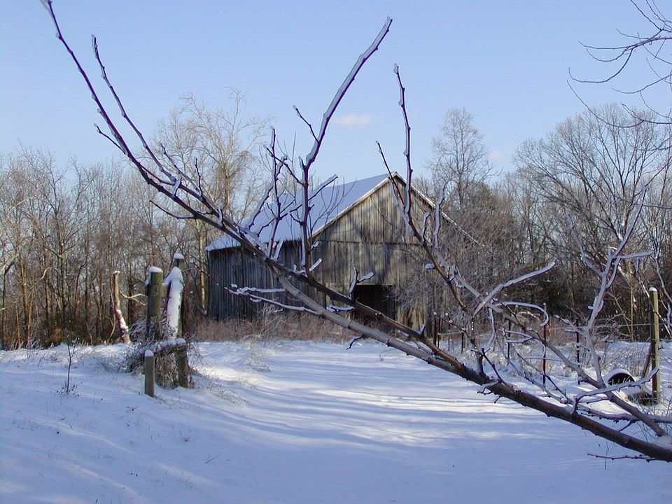 Large Barn