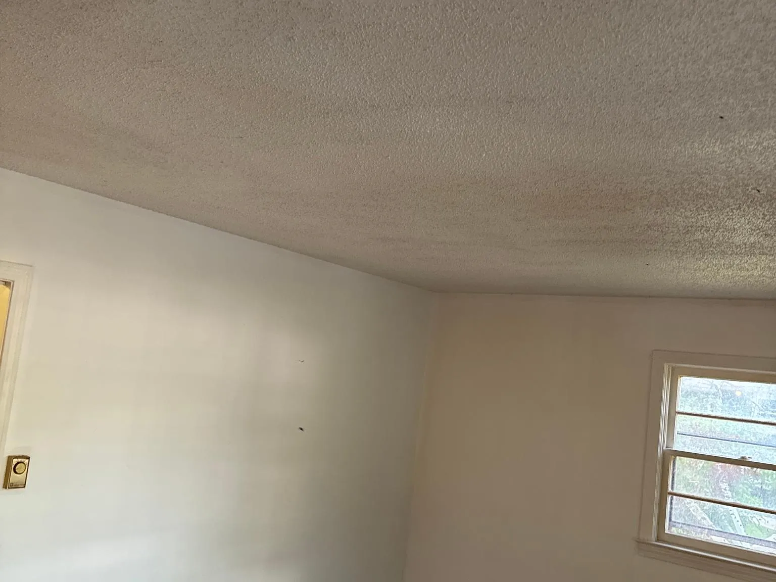 4 bed, 2000 sqft, $1,190 — Photo 3