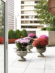 Sold by Sotheby's International Realty