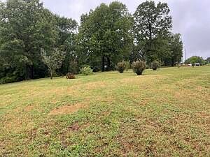 5th image of 13364 N Hicks Ln