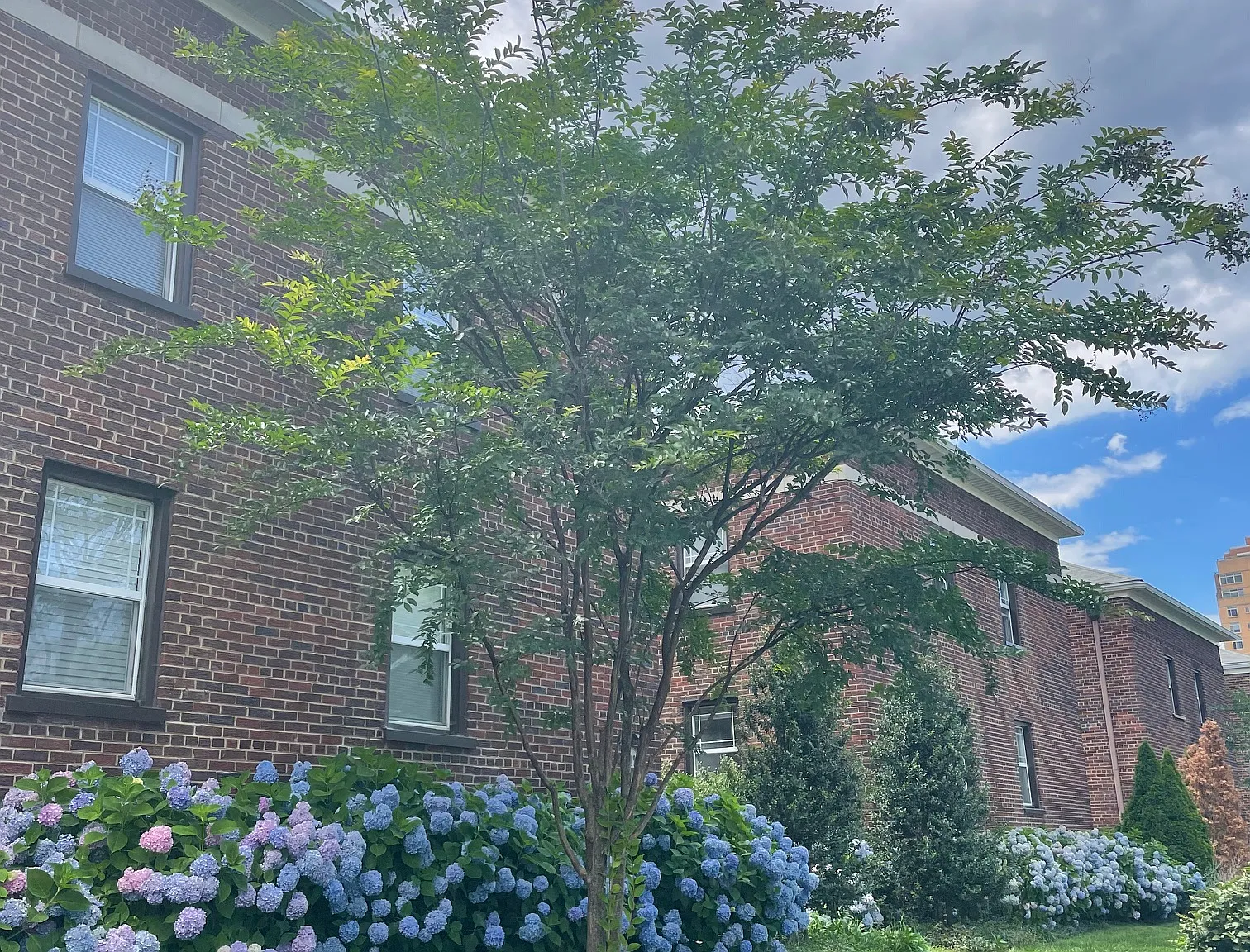 716 N Monroe street — Photo 2